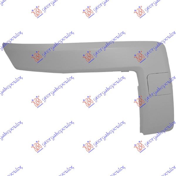 FR.BUMBER SIDE MOULDING 06-